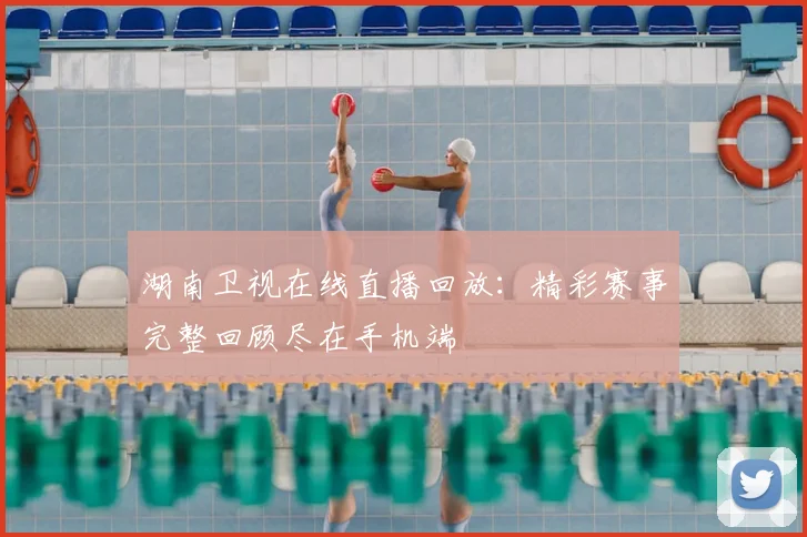 湖南卫视在线直播回放：精彩赛事完整回顾尽在手机端